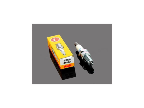 Bougie ZS190/212 NGK CR9EB